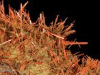Bright Orange Crocoite Crystals - Tasmania #64364-4